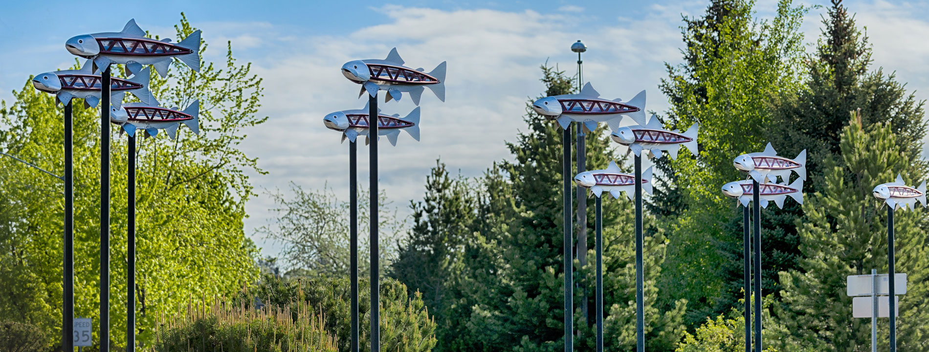 roundabout image titled Redsides