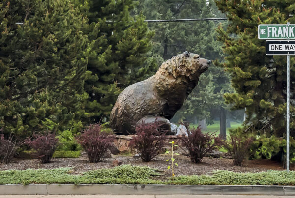 Grizzly Roundabout