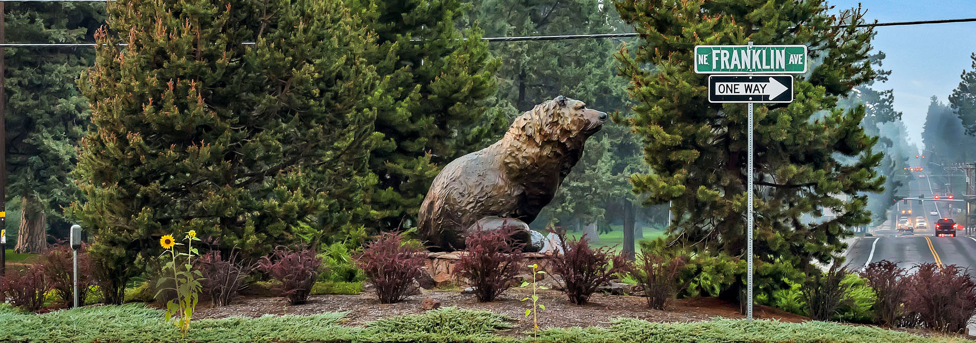 Grizzly Roundabout-Banner